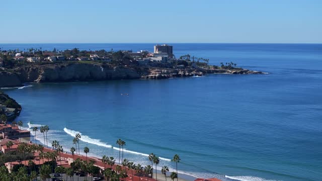 Aerial view of the cliffs, the surf and palm trees at La Jolla Shores.
