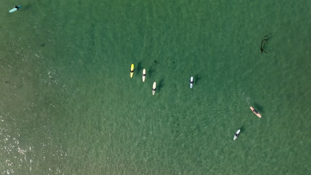 Aerial view of the beach, boats and the ocean at La Jolla Shores, with paddlers on the water.