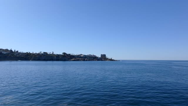 View from the water of the beach, palm trees and the ocean at La Jolla Cove.