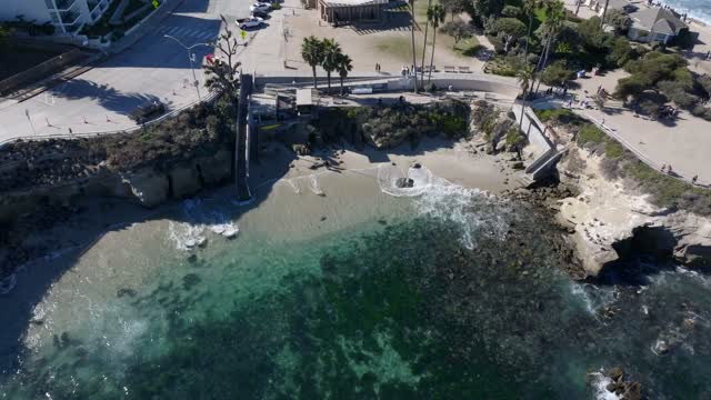 Aerial view of the cliffs, palm trees and the ocean at La Jolla Cove, with people walking.
