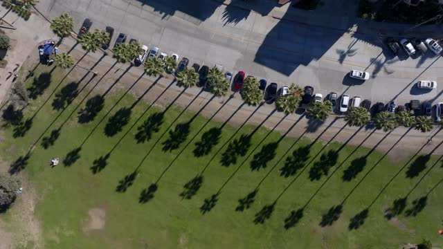 Aerial view of a park, palm trees and traffic at La Jolla Cove.