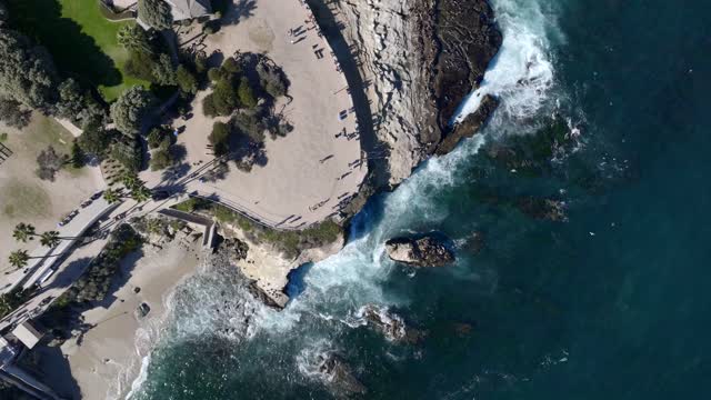 Aerial view of the beach, the surf and palm trees at La Jolla Cove, with people walking.