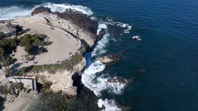 Aerial view of the cliffs, palm trees and the ocean at La Jolla Cove, with a crowd gathered.