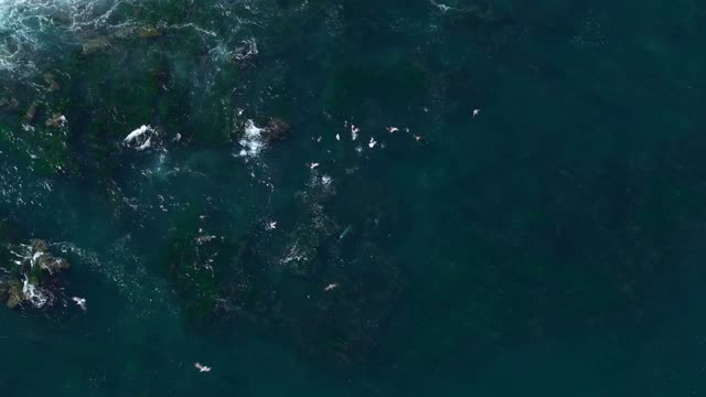 Aerial view of the beach, the ocean and open country at La Jolla Cove.
