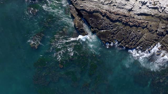 Aerial view of the cliffs, the surf and the ocean at La Jolla Cove.