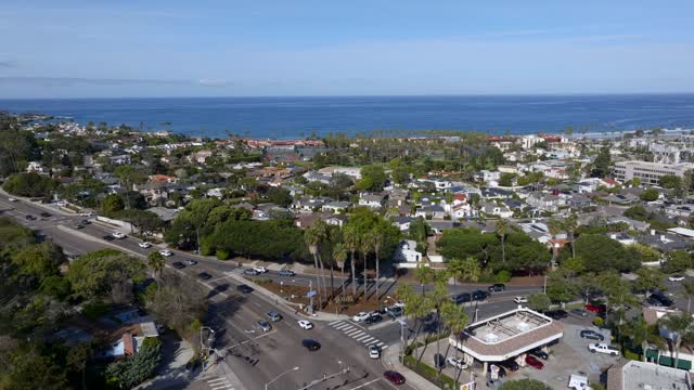 Aerial view of a residential street, palm trees and the ocean at La Jolla Shores.