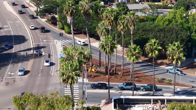 Low aerial view of a residential street, palm trees and homes at La Jolla Shores.