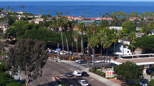 Low aerial view of a residential street, palm trees and the ocean at La Jolla Shores.