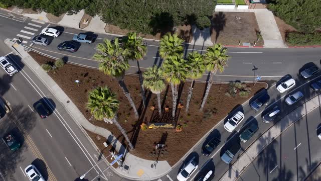 Aerial view of a residential street, palm trees and traffic at La Jolla Shores, with people walking.