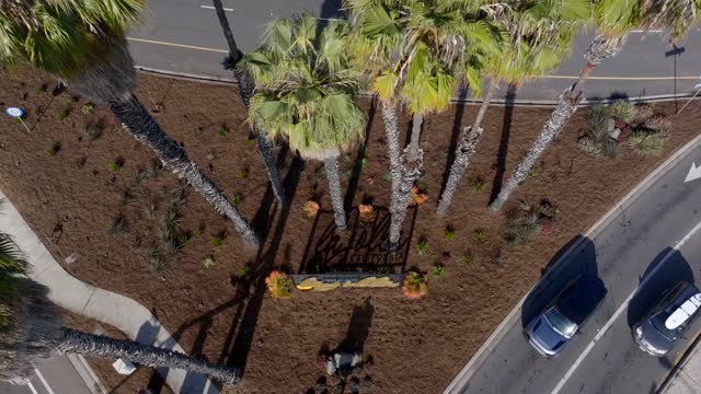 Aerial view of a residential street, palm trees and traffic at La Jolla Shores.