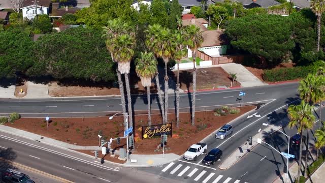 Low aerial view of a residential street, palm trees and homes at La Jolla Shores.