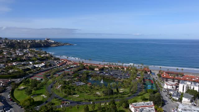Aerial view of the beach, palm trees and the ocean at La Jolla Shores.
