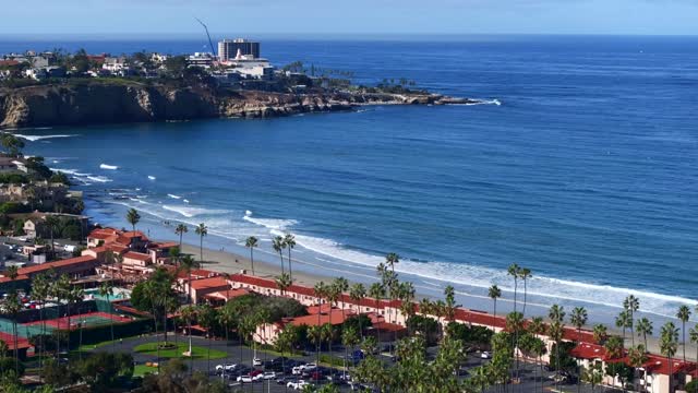 Aerial view of the beach, palm trees and the ocean at La Jolla Shores.