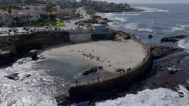 Aerial view of the beach, wildlife and the ocean at La Jolla Shores, with people walking.