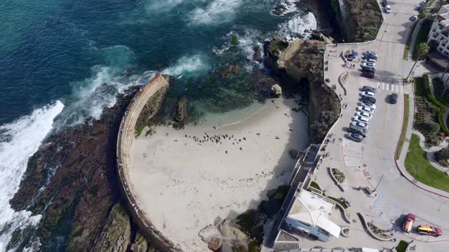 Aerial view of the beach, wildlife and the ocean at La Jolla Shores.
