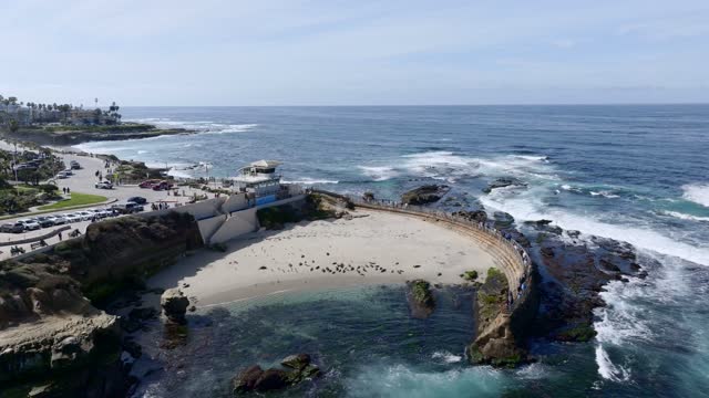 Aerial view of the cliffs, wildlife and the ocean at La Jolla Shores.