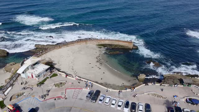 Aerial view of the beach, wildlife and the ocean at La Jolla Shores, with a crowd gathered.