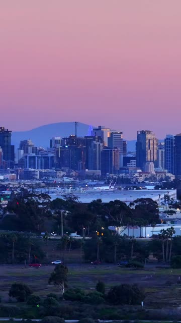 The downtown streets, the skyline and palm trees in Mission Bay.