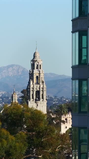 Low aerial view of a park, palm trees and the buildings in Balboa Park.