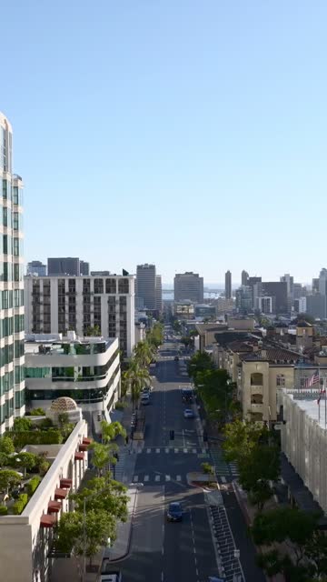 Low aerial view of the downtown streets, the skyline and palm trees at Bankers Hill.