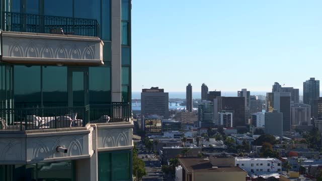 Low aerial view of the downtown streets, the skyline and palm trees at Bankers Hill.