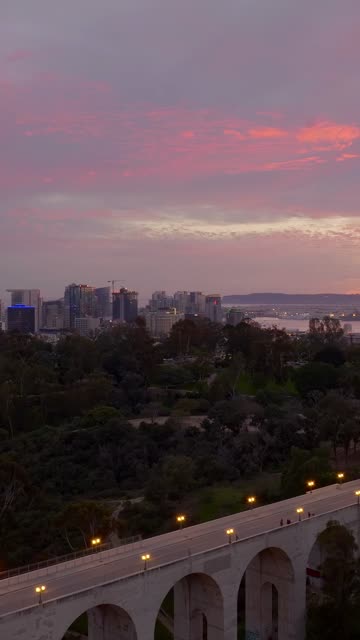 Aerial view of a park, the bridge and the skyline at Bankers Hill.