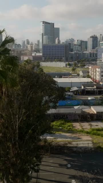 Low aerial view of the downtown streets, the skyline and palm trees in Barrio Logan.