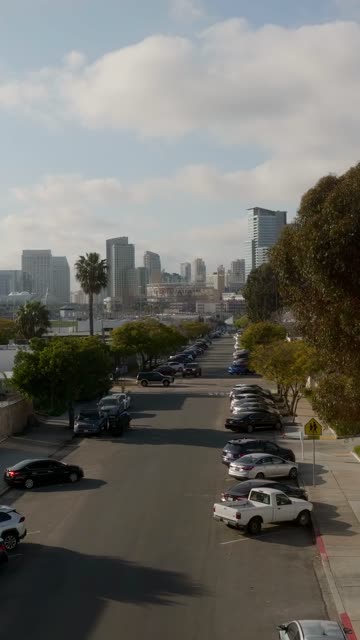 Low aerial view of the downtown streets, the skyline and palm trees in Barrio Logan.
