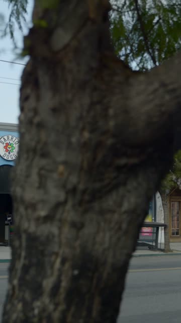 Close view of the downtown streets, the buildings and the city in Barrio Logan.