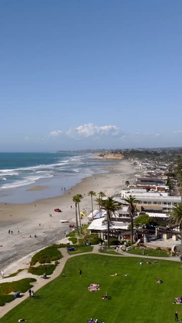 Aerial view of the beach, palm trees and the ocean at Powerhouse Park, with people walking.