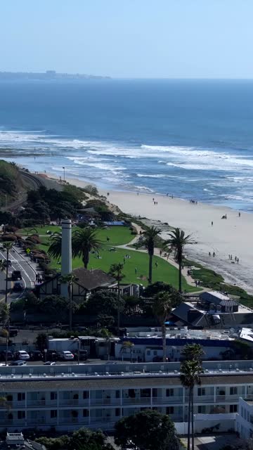 Aerial view of the beach, the surf and palm trees at Powerhouse Park, with people walking.