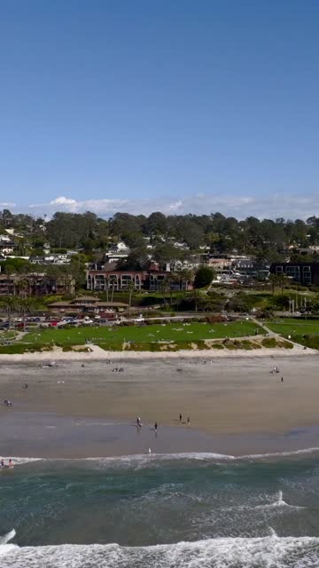 Aerial view of the beach, the surf and palm trees at Powerhouse Park, with people walking.
