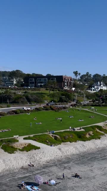 Low aerial view of a park, palm trees and the ocean at Powerhouse Park, with people walking.