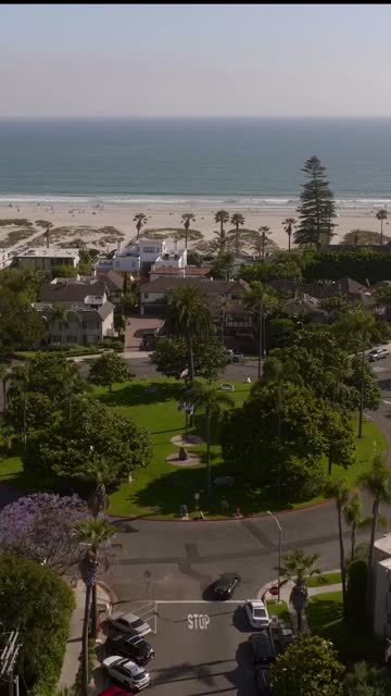 Aerial view of a residential street, palm trees and the ocean at Coronado Beach, with people walking.