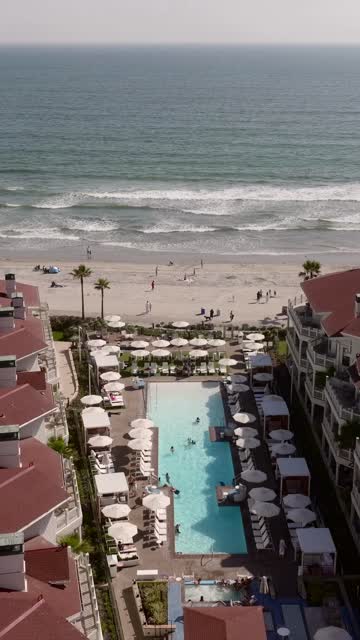 Aerial view of the beach, the surf and palm trees at Coronado Beach, with swimmers in the water.