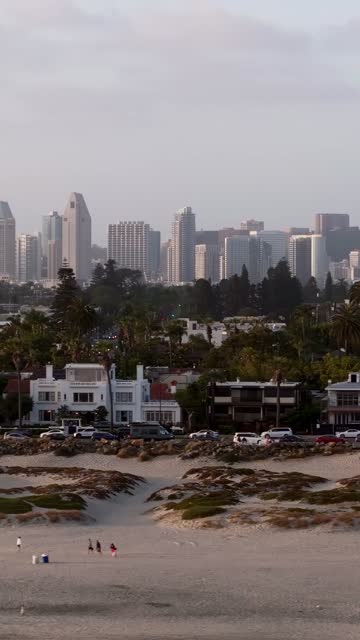 Low aerial view of the beach, the skyline and palm trees at Coronado Beach, with people walking.