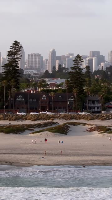 Low aerial view of the beach, the skyline and palm trees at Coronado Beach, with people walking.