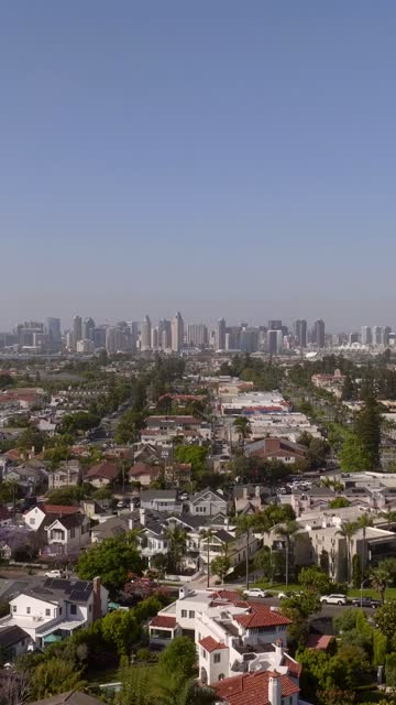 Aerial view of a residential street, the skyline and palm trees at Coronado Beach.