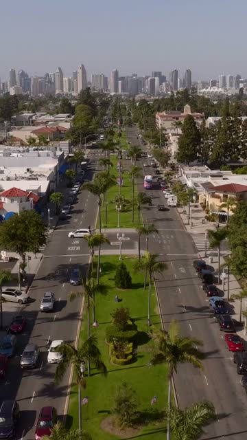 Low aerial view of a residential street, the skyline and palm trees at Coronado Beach.