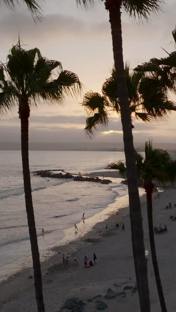 Elevated view of the beach, palm trees and the ocean at Coronado Beach, with people walking.