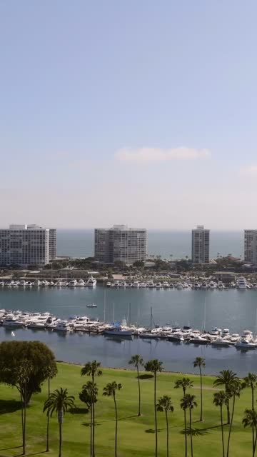 Flying over Coronado on a Beautiful Day | Vertical Drone Video – 6