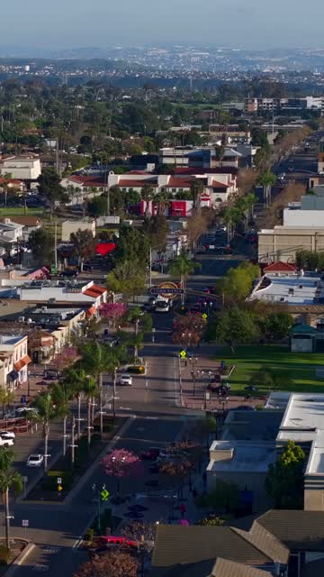 Low aerial view of the downtown streets, palm trees and homes in Chula Vista.