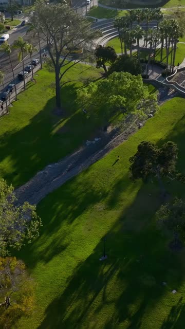 Low aerial view of a park, palm trees and traffic in Chula Vista, with people walking.