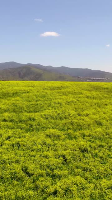 Low aerial view of the country inland and open country in Chula Vista.