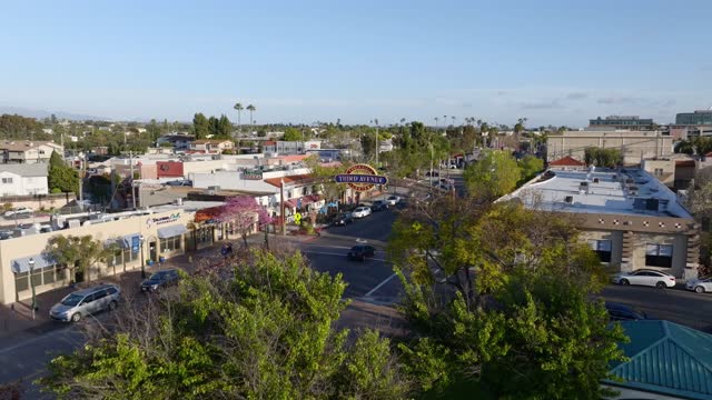 Low aerial view of the downtown streets, palm trees and the buildings in Chula Vista.