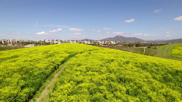 Low aerial view of a residential street, homes and open country in Chula Vista.