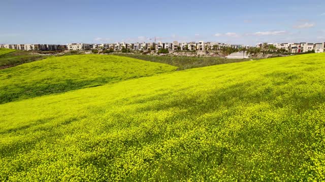 Low aerial view of a residential street, homes and open country in Chula Vista.