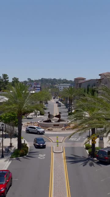 Low aerial view of the downtown streets, palm trees and the buildings in Vista.