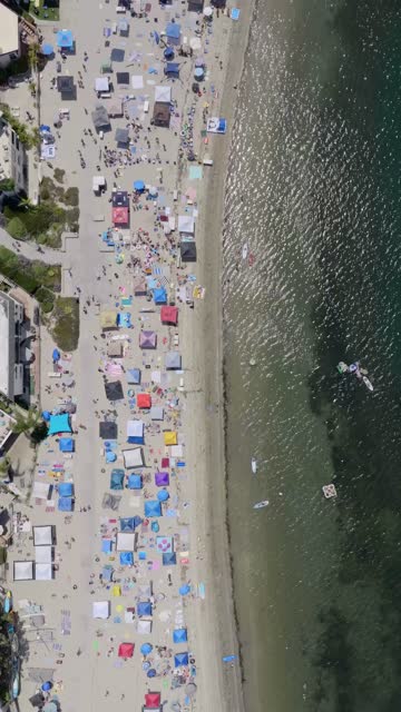 Aerial view of the beach, the bay and open country in Mission Bay, with a crowd gathered.