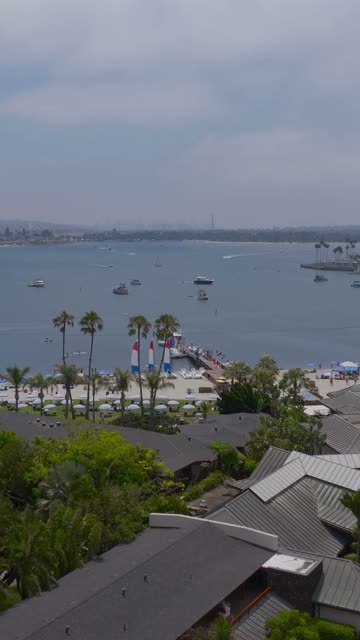 Aerial view of the beach, boats and palm trees in Mission Bay, with a crowd gathered.